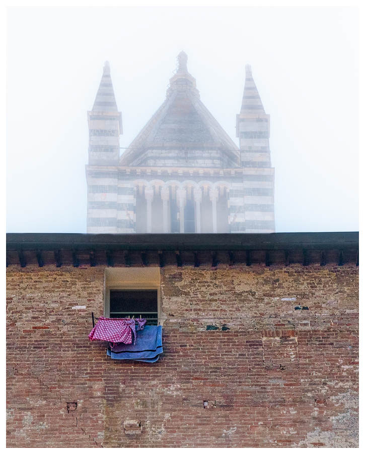 panni senesi