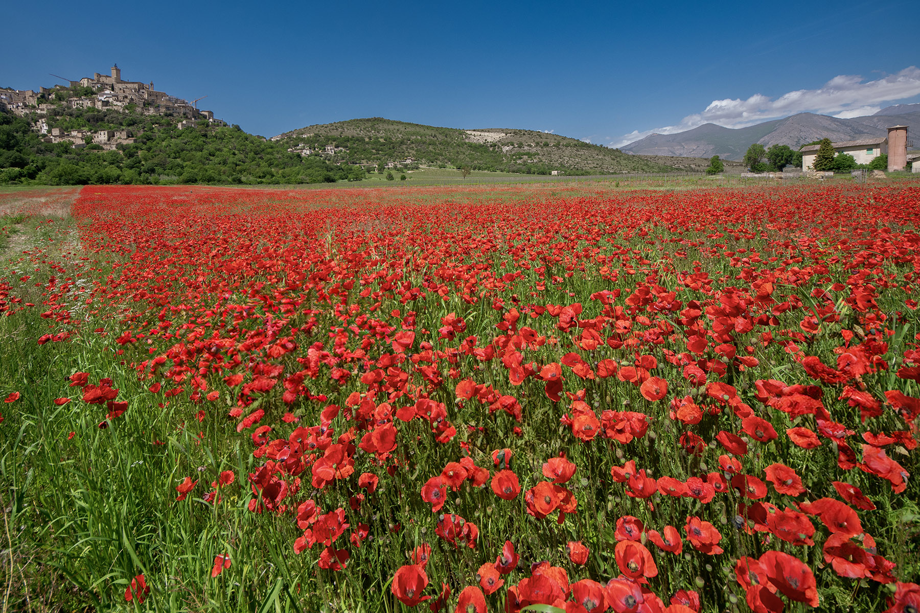 Capestrano_AQ_Mag2026_4