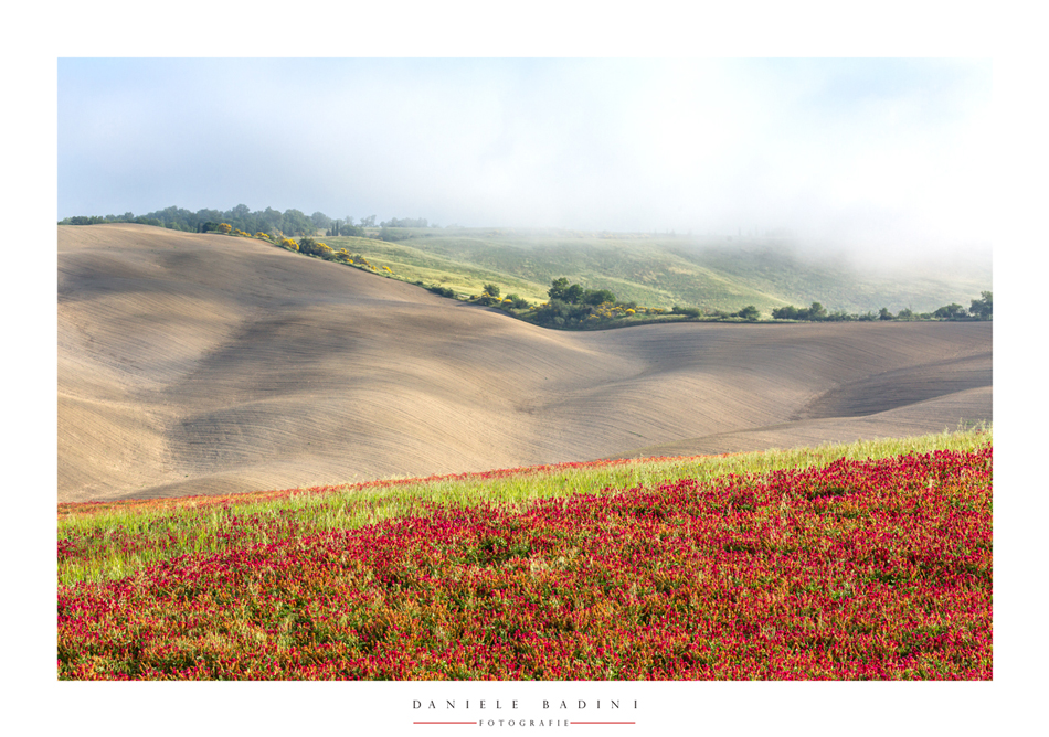 terra senese