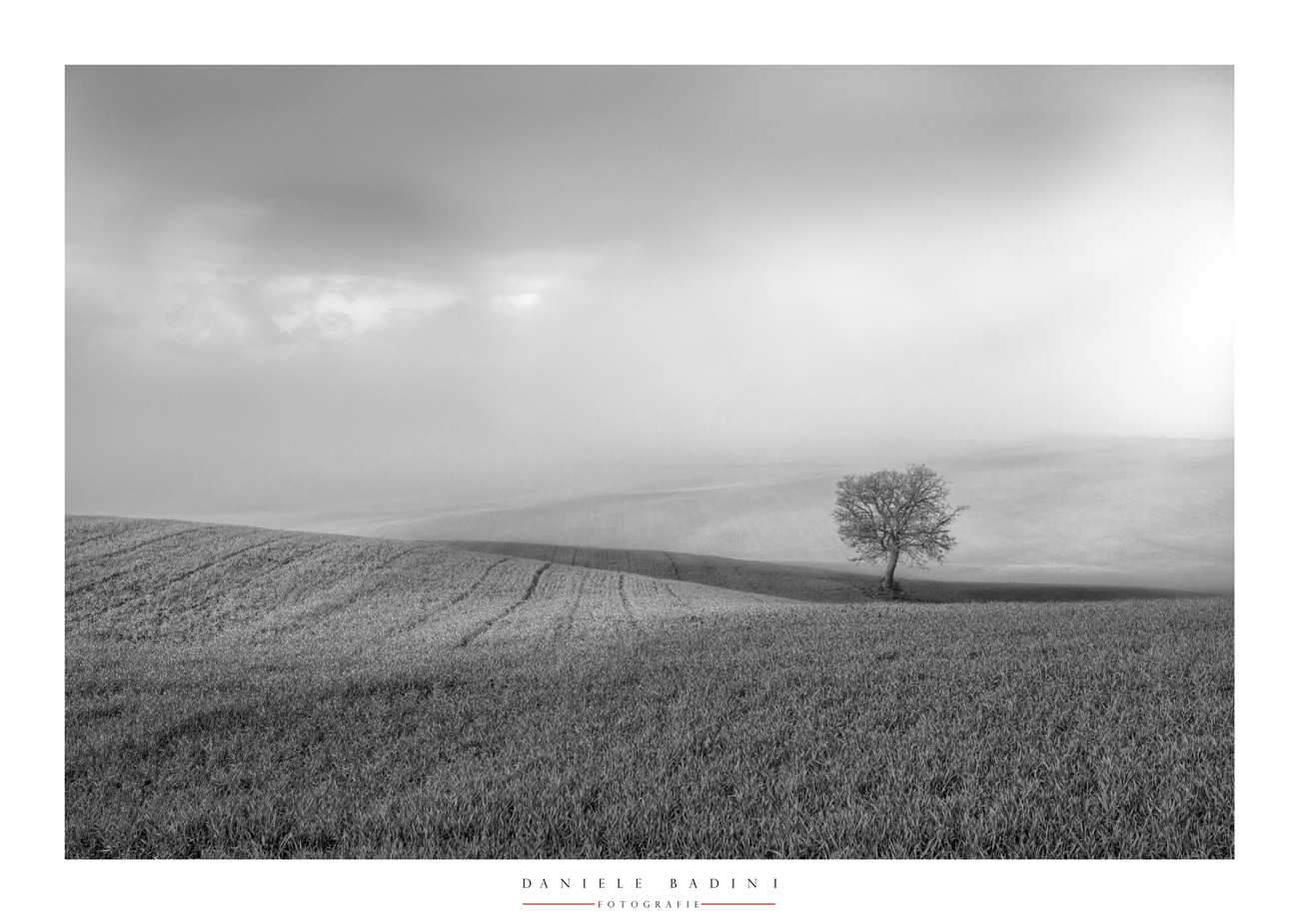 alba primaverile
