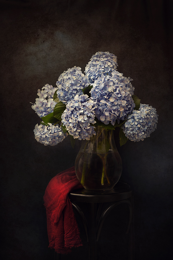 Passione Hortensia