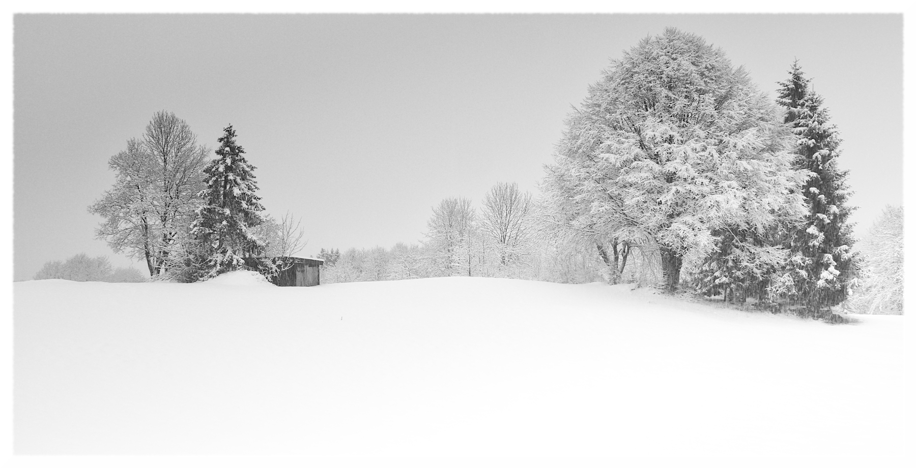 ...torner� un altro inverno...