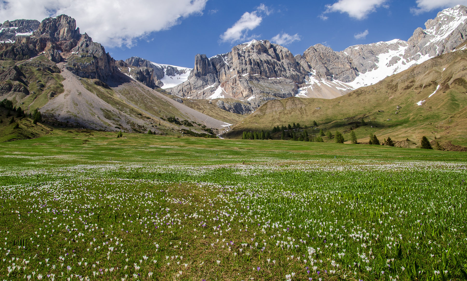 L'avanzare della primavera