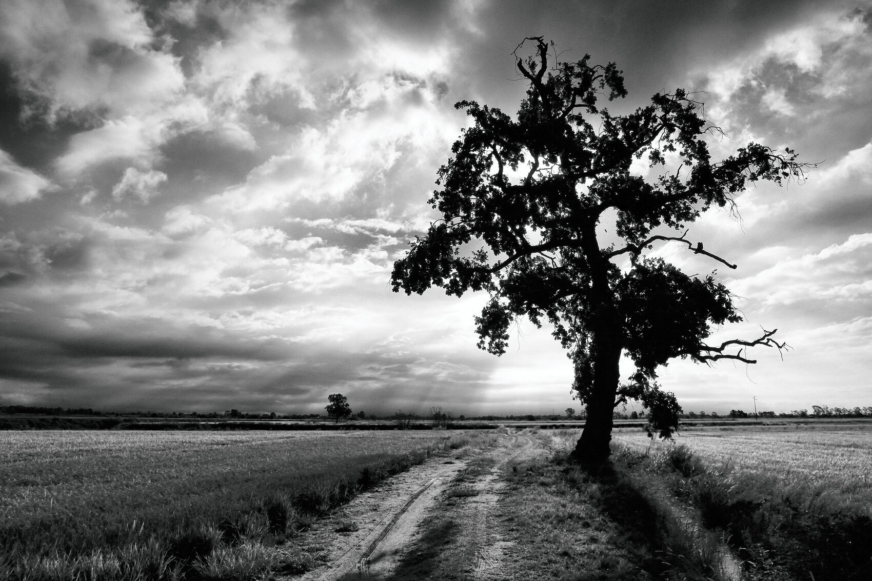 Temporale nella Baraggia Biellese