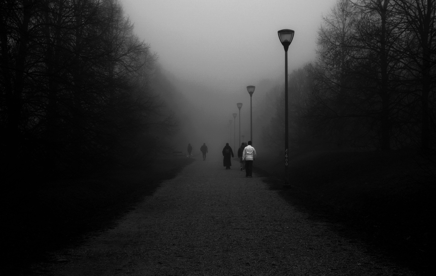 Parco Cormor