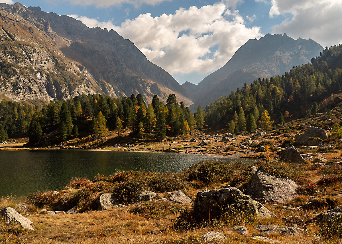 Engadina