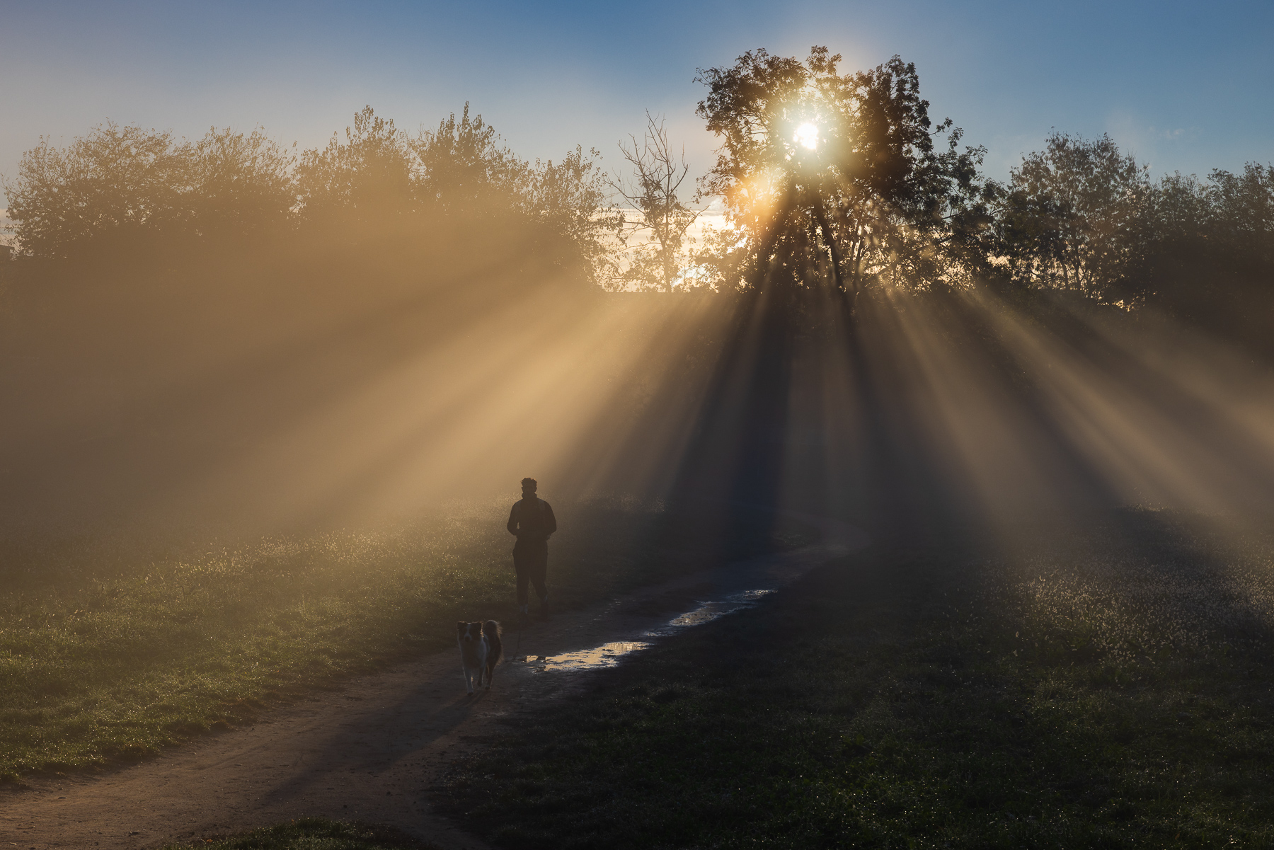 Passeggiata mattutina