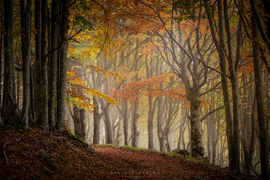 Autunno