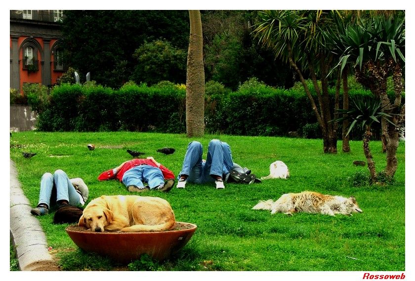 Come � bello dormire