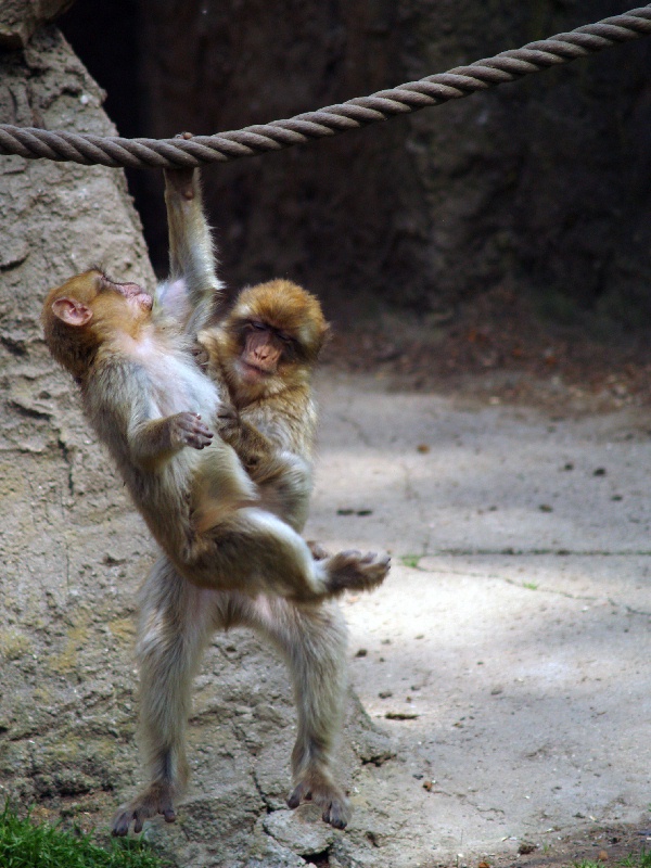 ... ma fatti dare una manooooo !!!