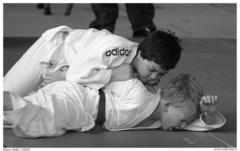 judo37