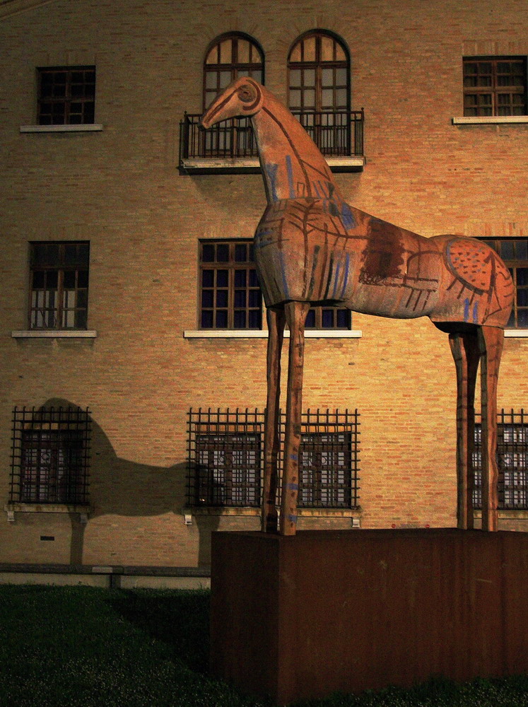 Cavallo notturno