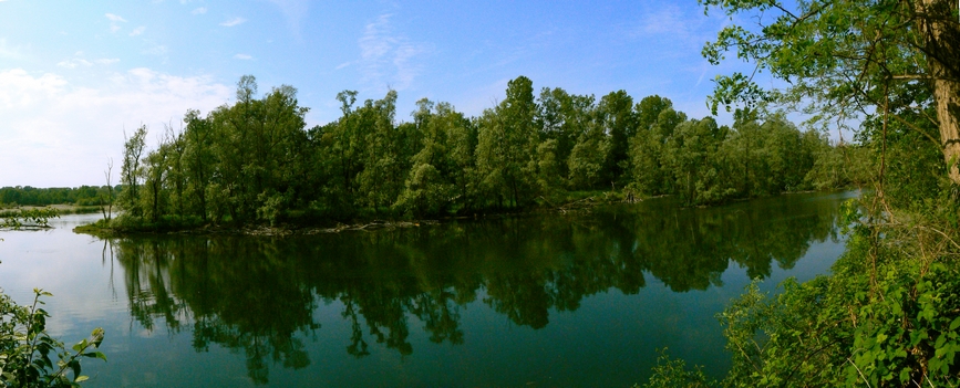 lanca DI Bernate (mi)