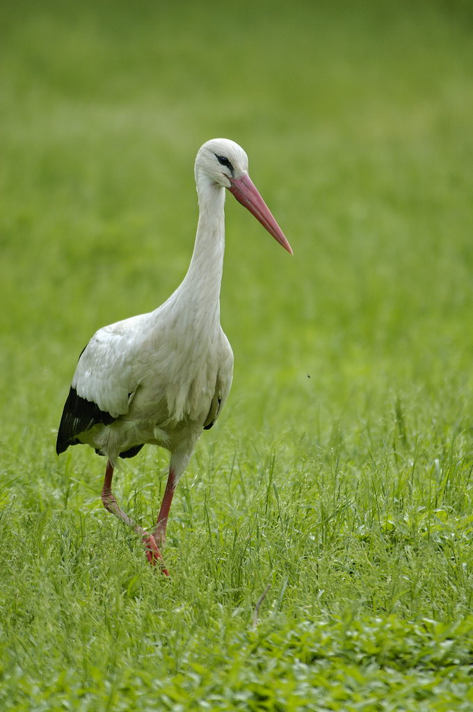 Oddio...starai mica venendo a dirmi che.....!!!!