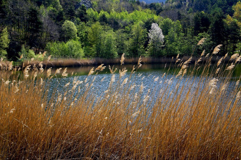 Lago Villa - Val d'ayas