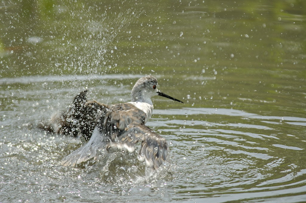 ...BRUMMM...ho messo il turbo!