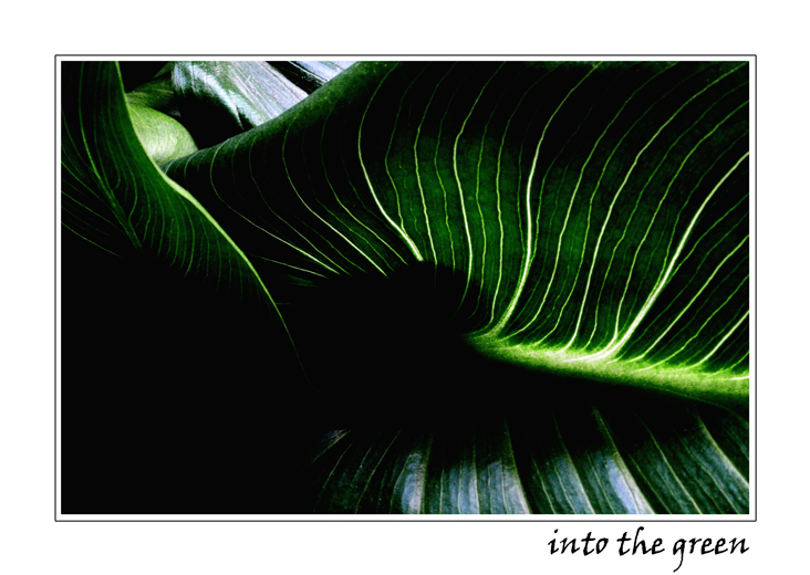 into the green 2