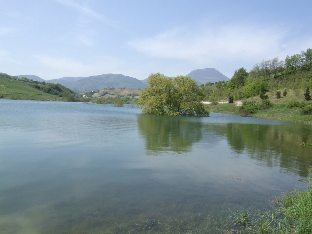 Lago1