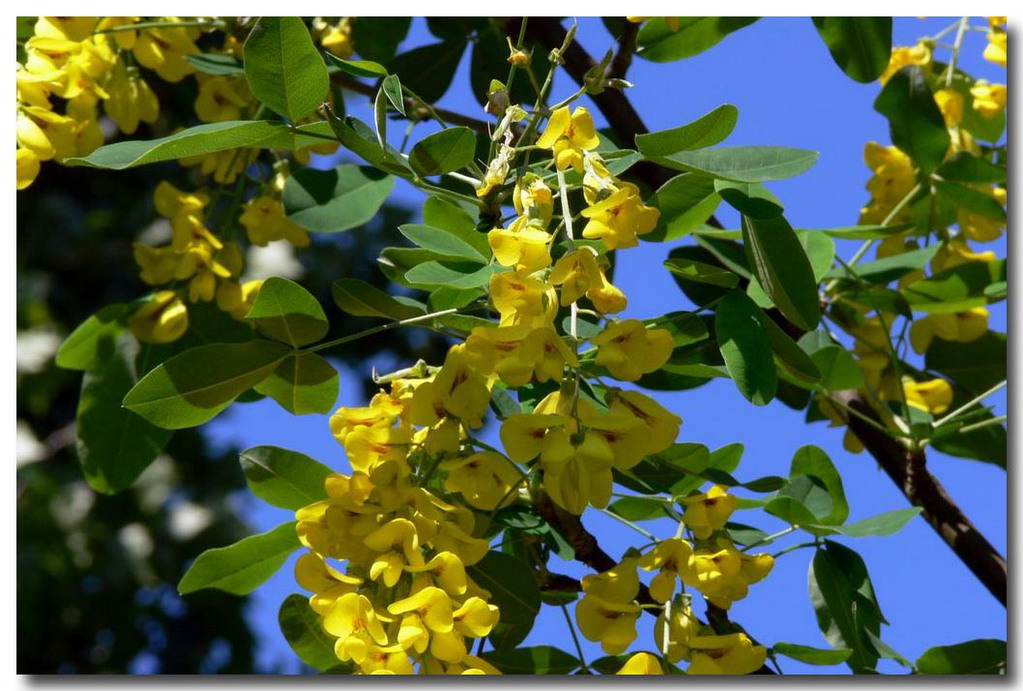 Contrasti primaverili