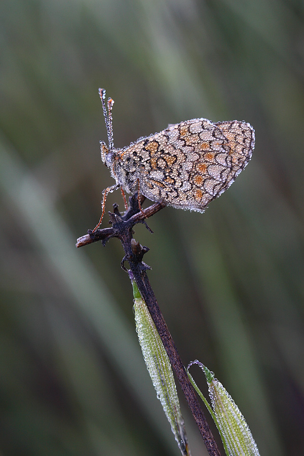Aspettando il sole...