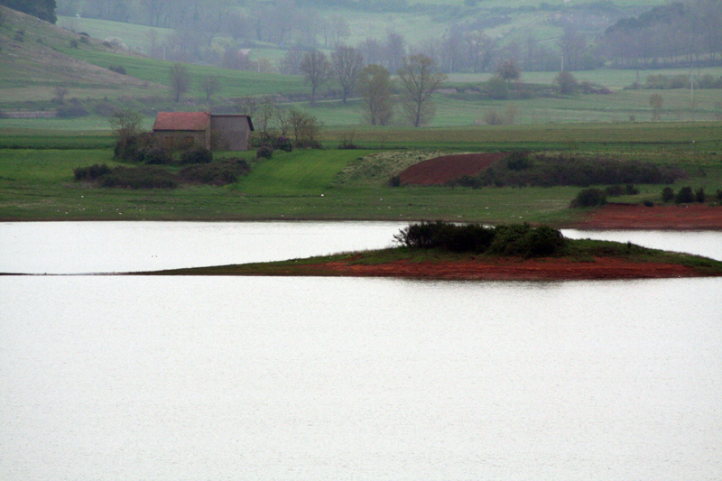 un giorno al lago...