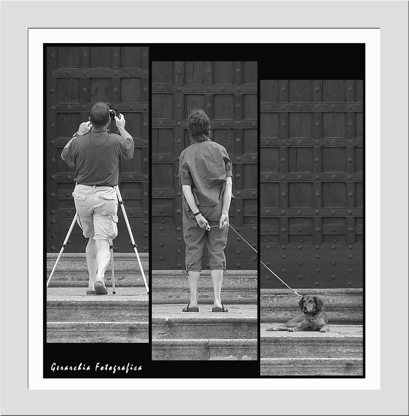 Gerarchia Fotografica