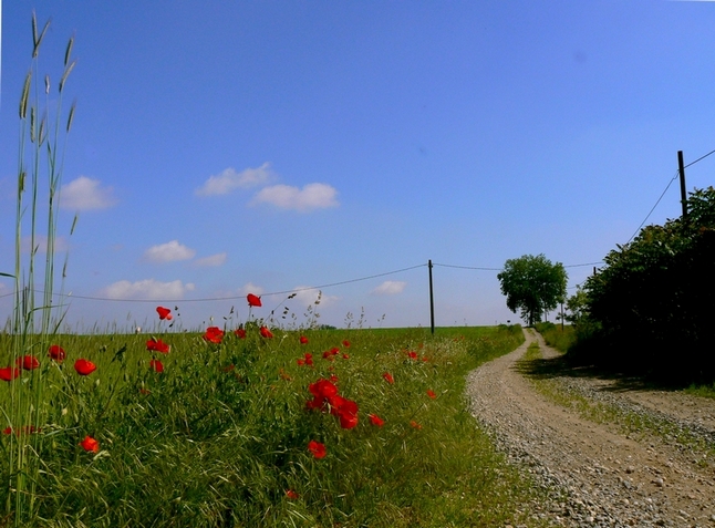 strada interpoderale