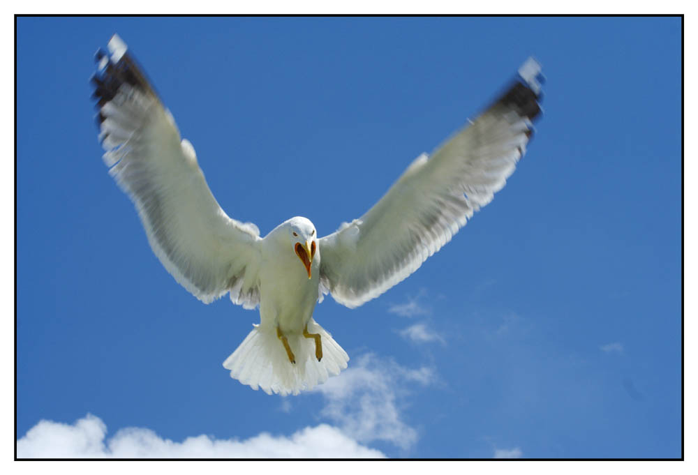 Mo scendo e te meno.....