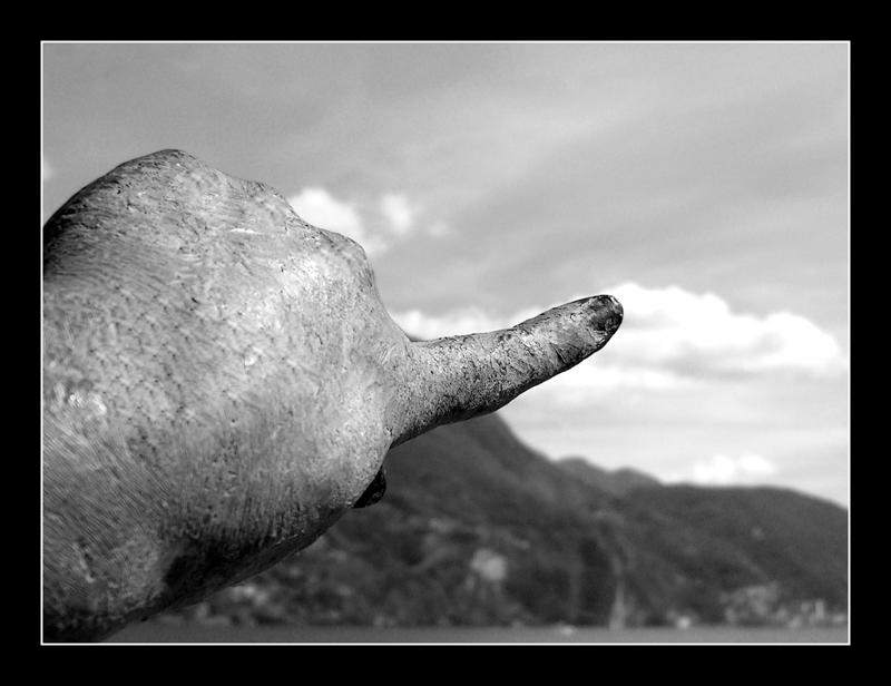 toccare il cielo con un dito