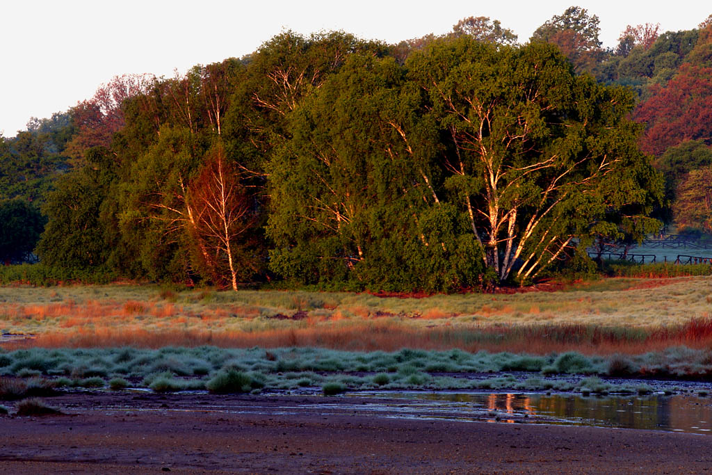Una pennellata di sole