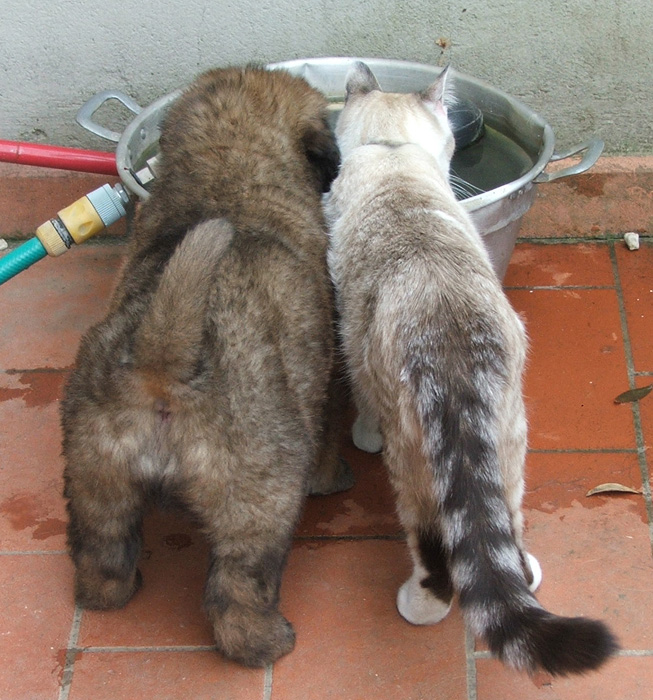 beviamo qualcosa insieme?