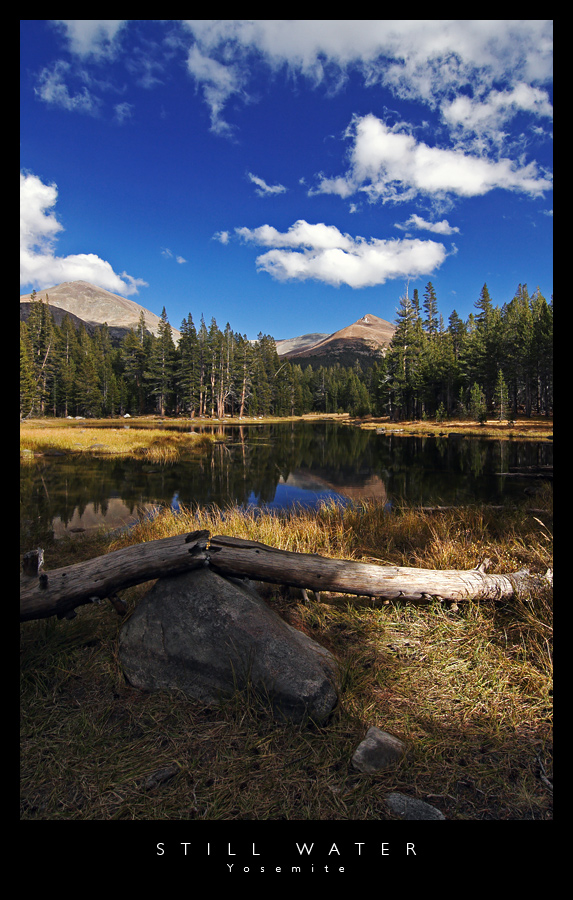 Still Water - Yosemite