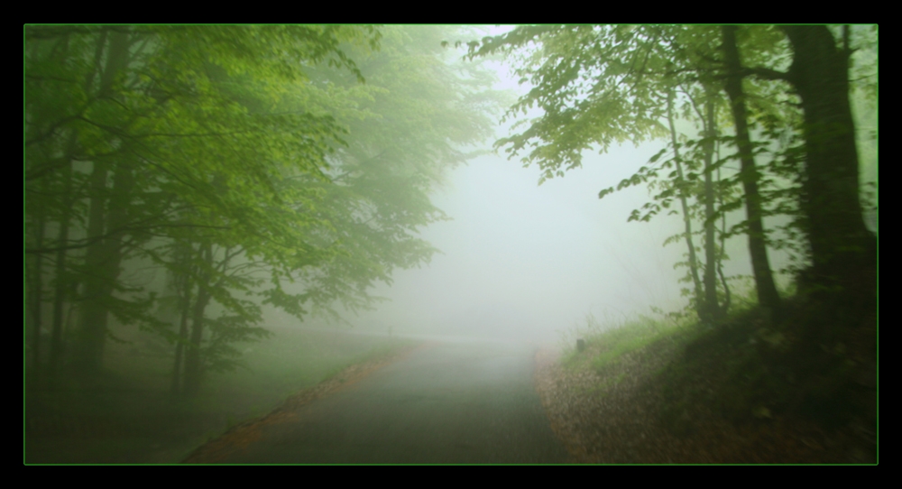 Vagando nella nebbia