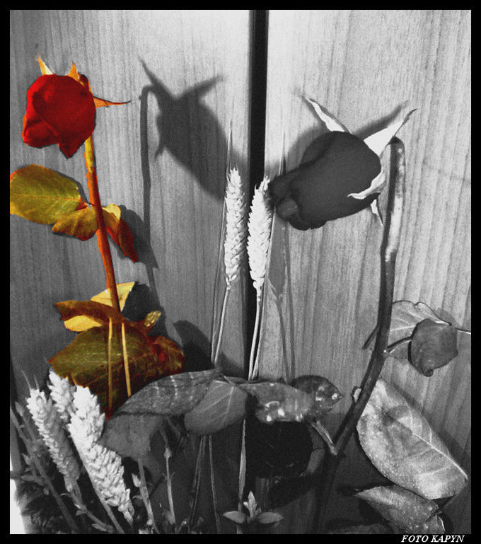 ...la bellezza delle cose ama nascondersi...