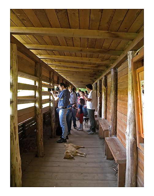 Osservatorio nel Cratere degli Astroni