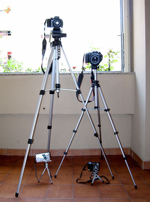 Riunione di famiglia in terrazza