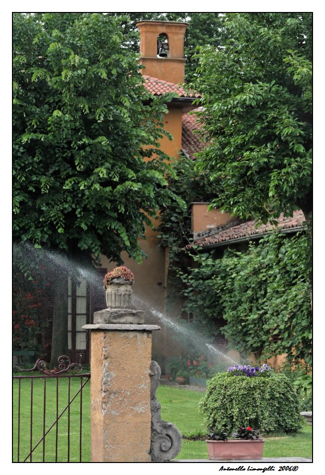 Violette dispettose...