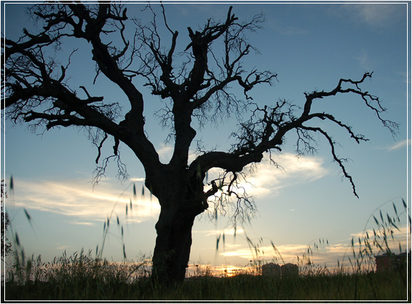 Al calar del sole... tutto prende forma!