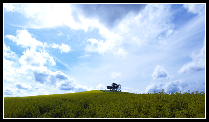collina sulla frontiera