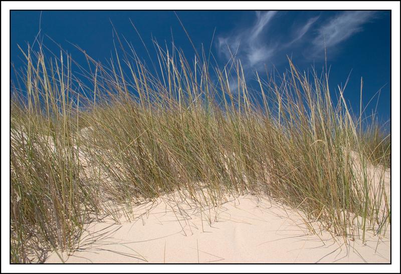 Domus de Maria - Chia