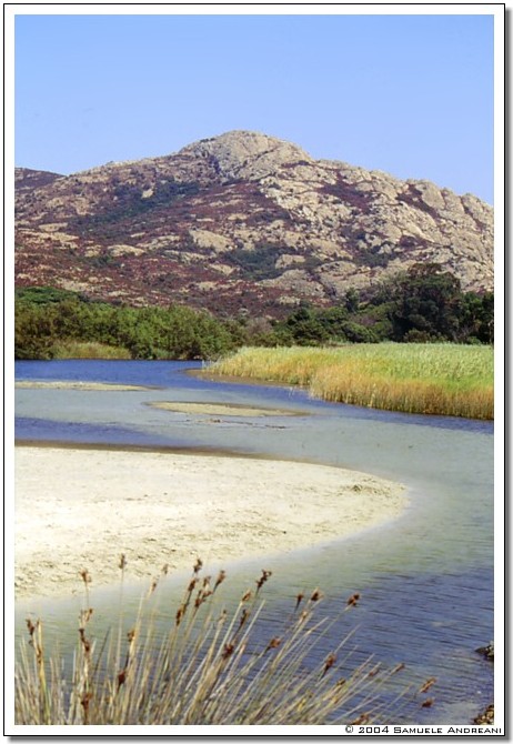 L'embochure de l'Ostriconi (Loc. Palasca, Corse)