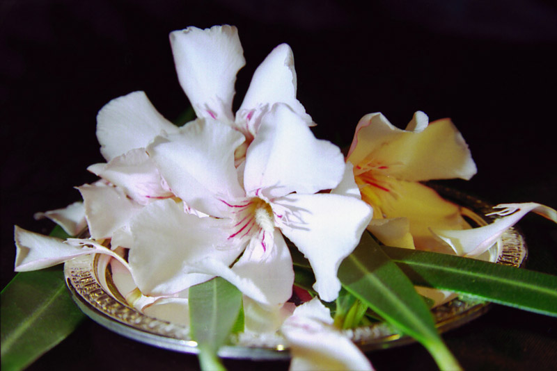 Fiori su un piatto d'argento