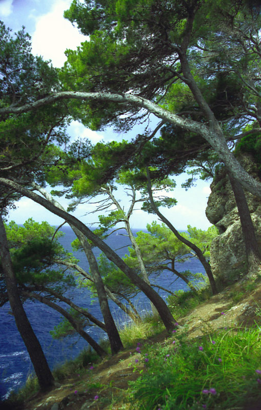 Stiamo cadendo in mare!