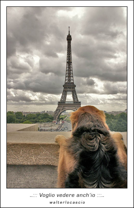 Voglio vedere anch'io!