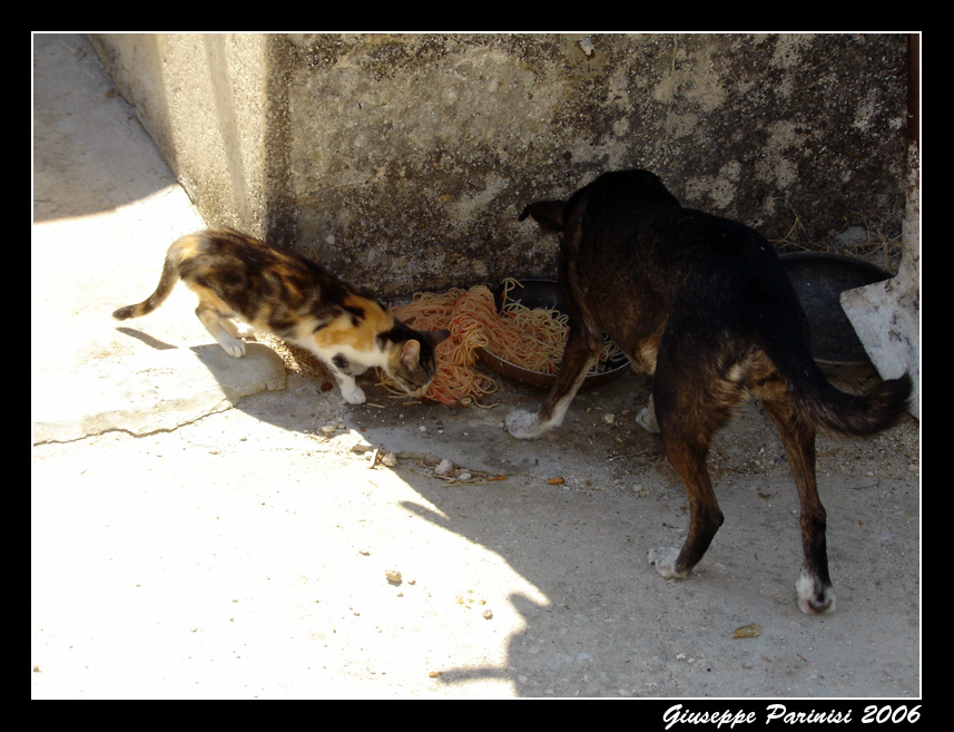 Quando si mangia non si litiga!