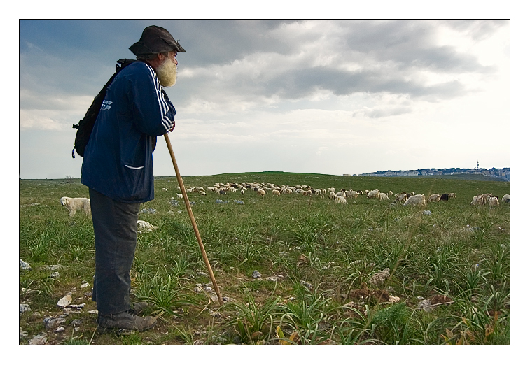 sempre lui, il pastore