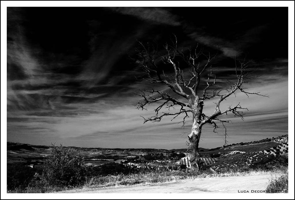 Il guardiano della vallata