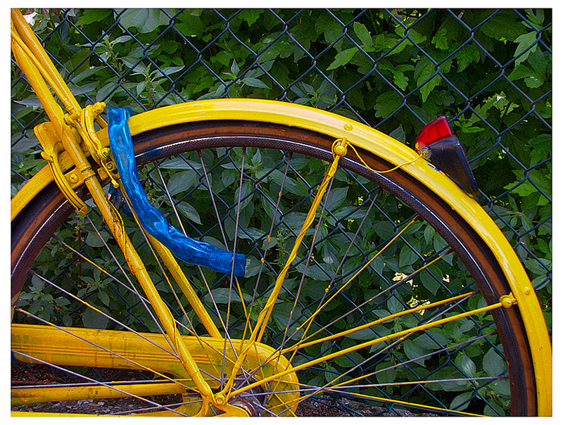 Yellow Bike