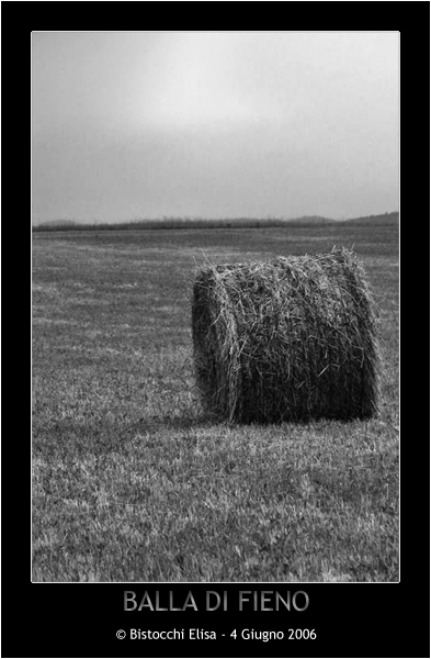 Balla di fieno!
