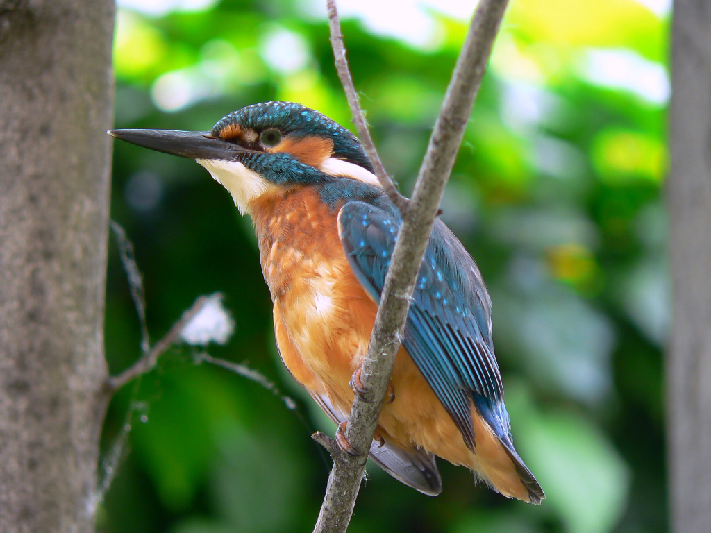 Il mio amico Martino....